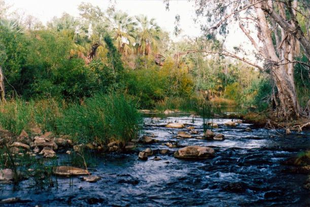 Resize of 08-15-2003 08 Lawn Hill creek up from Gorge.jpg