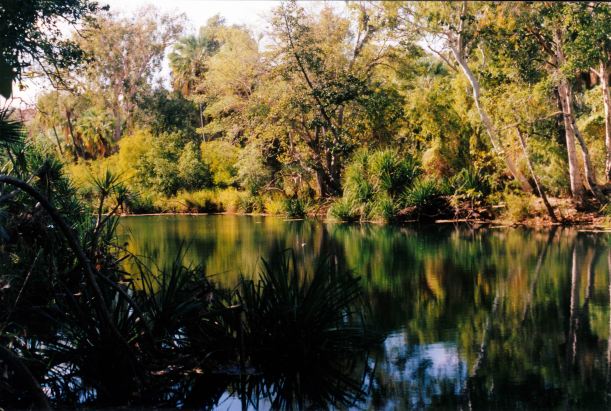 Resize of 08-15-2003 12  lawn hill creek upstream waterhole.jpg