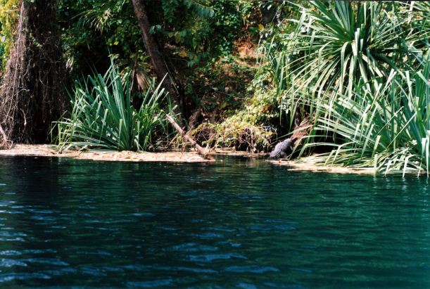 Resize of 08-15-2003 15 upper gorge freshie