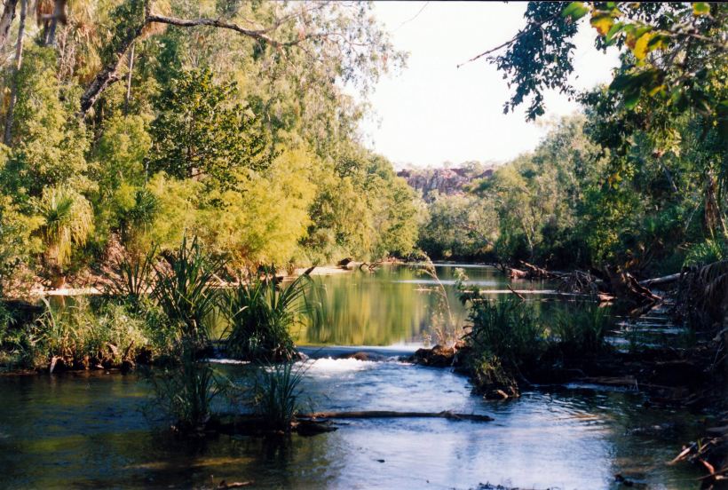 Resize of 07-10-2003 11 lawn hill creek by track to old weir.jpg