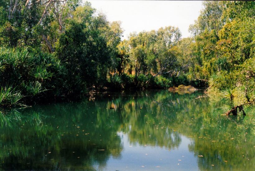Resize of 08-23-2003 01 Crocodile waterhole on lawn hill creek.jpg