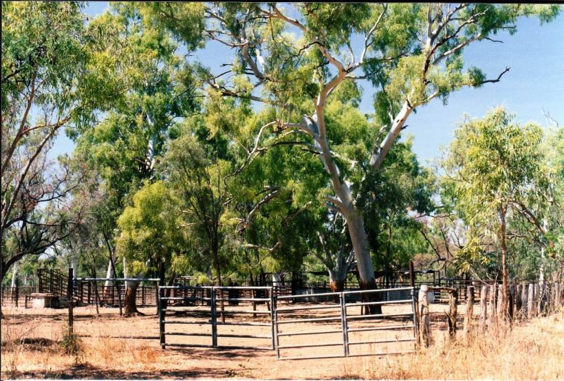 resize of 08-23-2003 03 yards lawn hill station