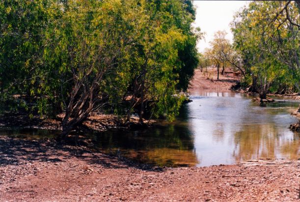 Resize of 08-23-2003 04 back track to doom crosses lawn hill creek.jpg