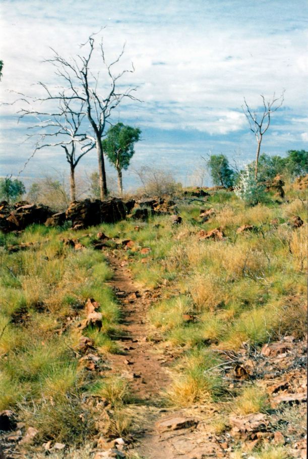 Resize of 08-30-2003 02  track up constance range nat park.jpg