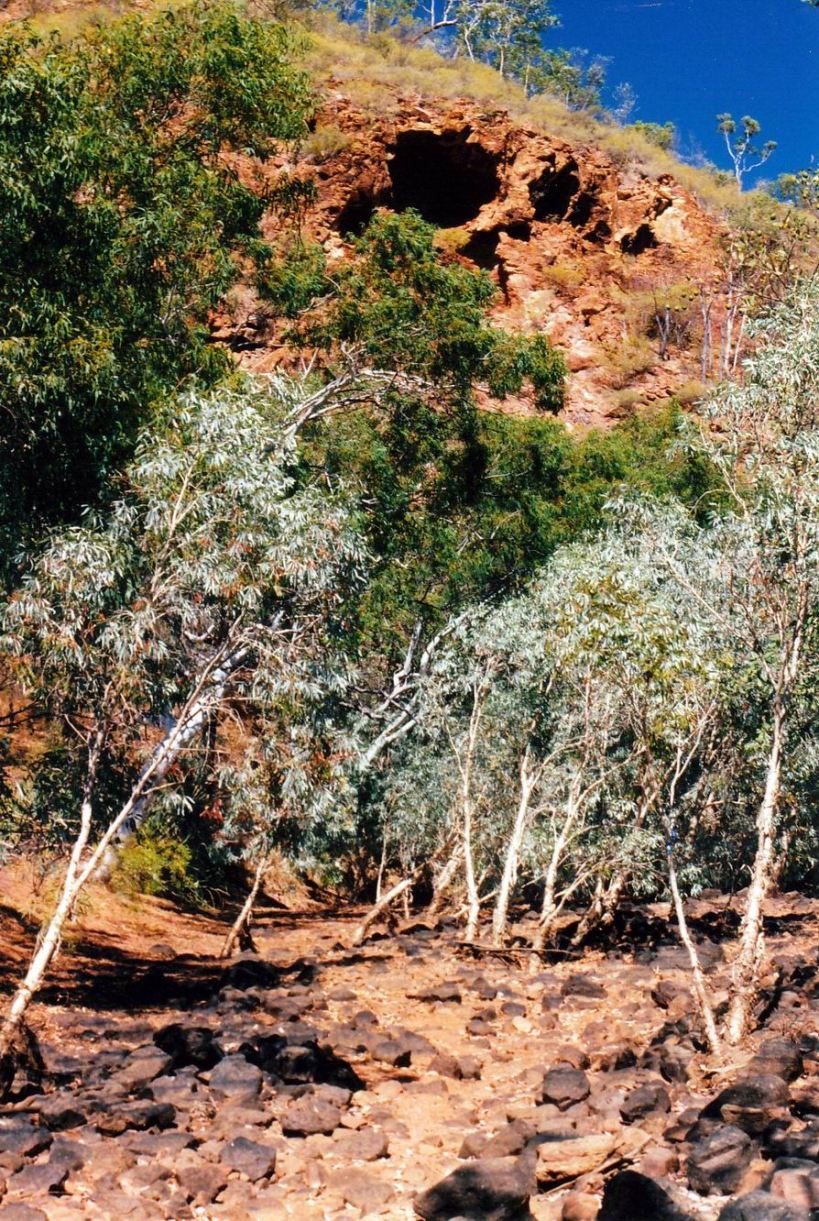 resize of 09-13-2003 03 walk track to hedley gorge