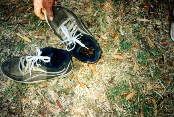 Resize of 09-15-2003 06 shoes left outside overnight.jpg