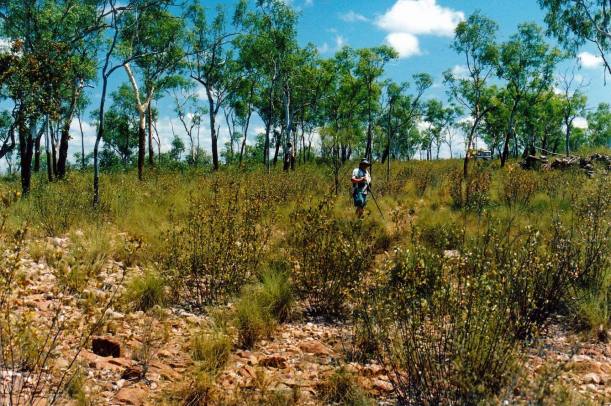 Resize of 09-15-2003 10 exploring the escarpment country.jpg