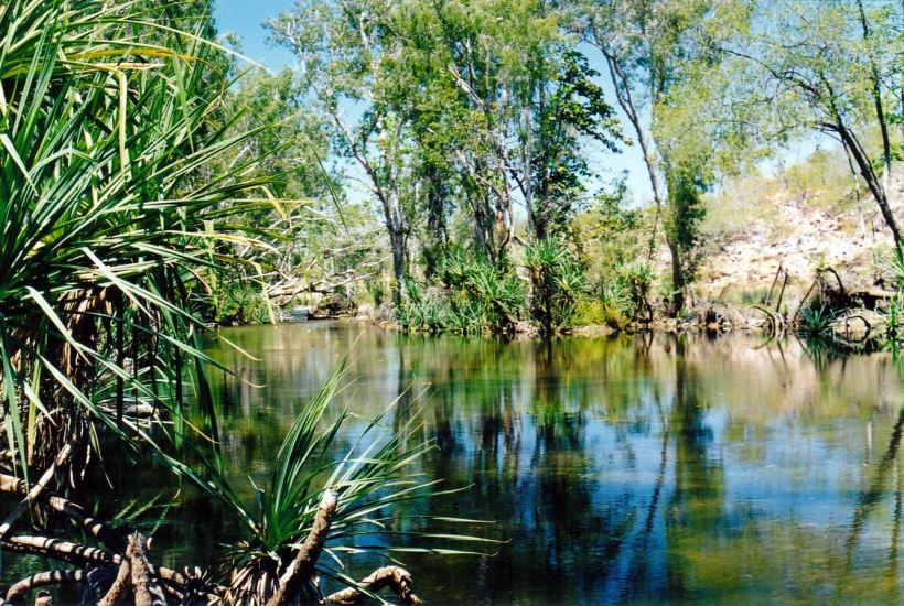 Resize of 09-16-2003 creek at fig tree.jpg