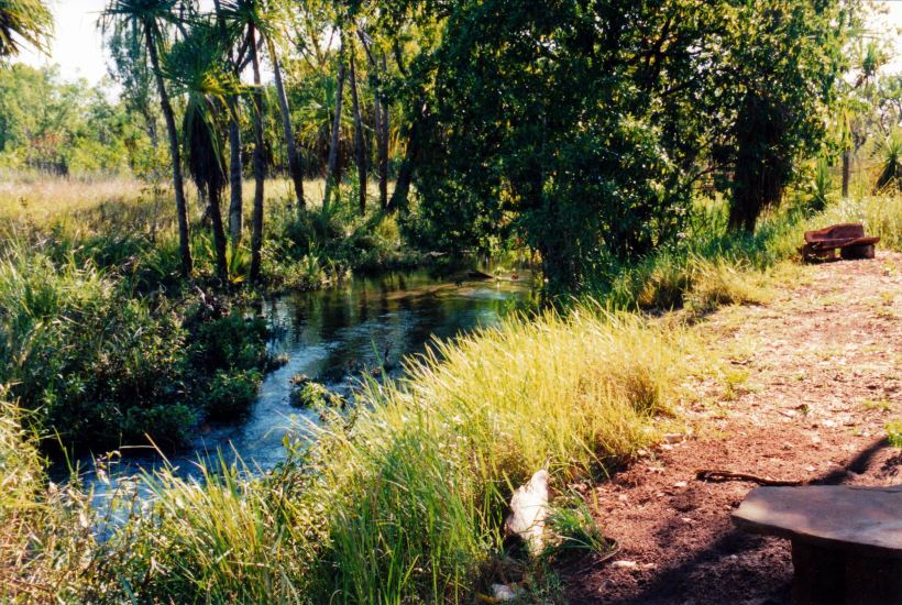 resize of 09-19-2003 05 camp creek safari camp