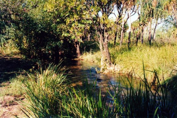 resize of 09-19-2003 07 safari camp creek