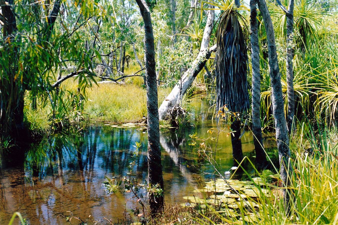Resize of 09-19-2003 09 creek scene at safari camp.jpg