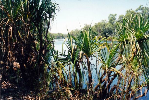 resize of 09-19-2003 11 big waterhole on calvert