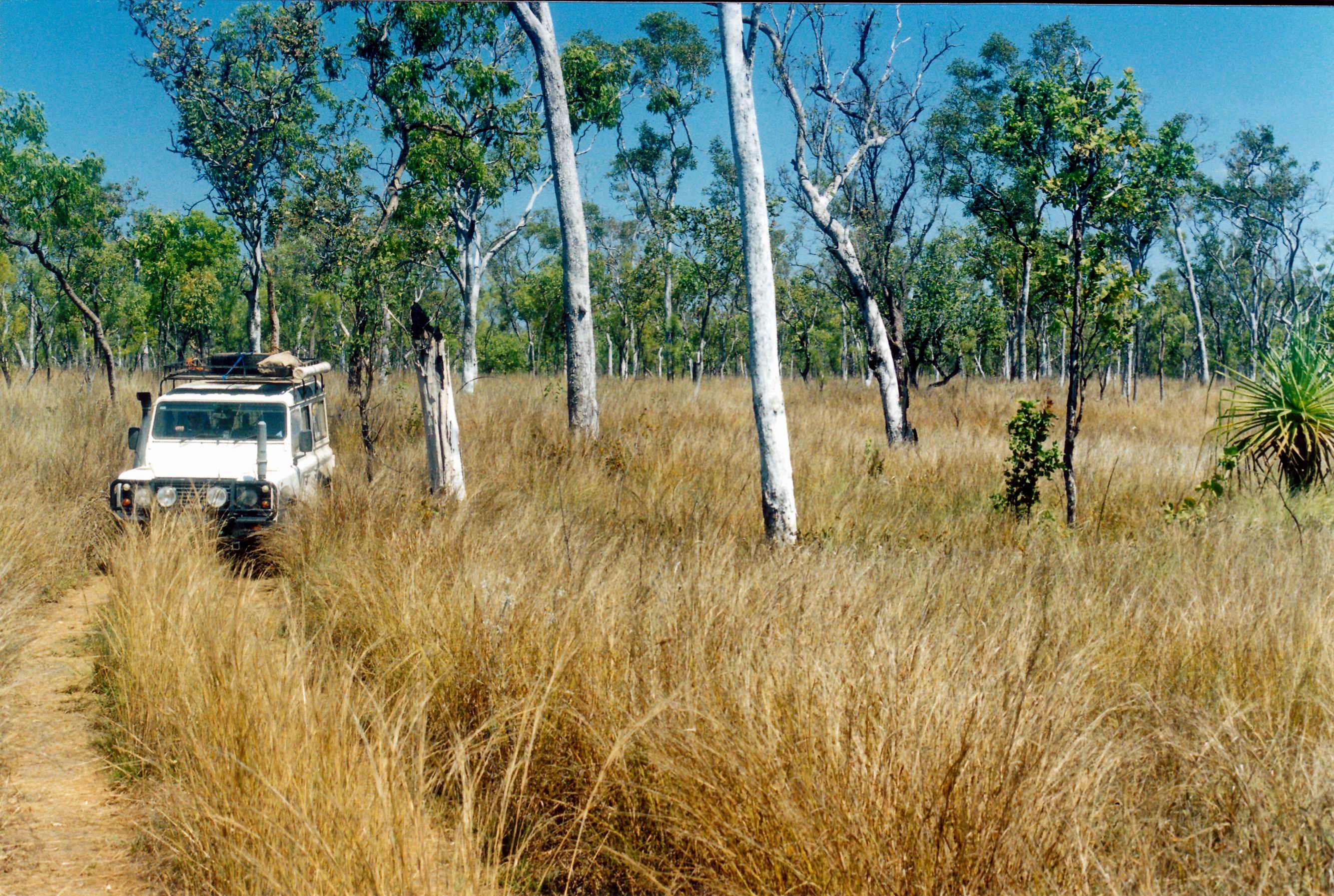 resize of 09-19-2003 17 a pungalina track