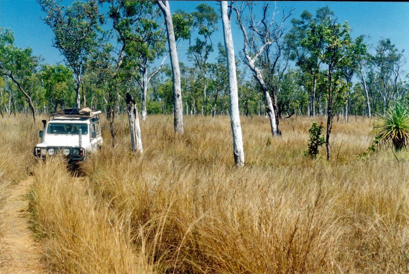 resize of 09-19-2003 17 a pungalina track