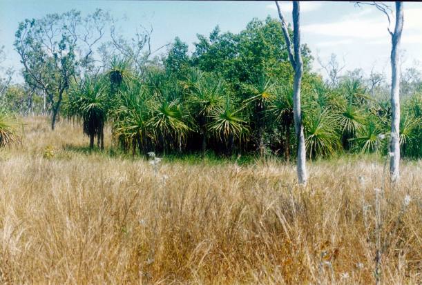 Resize of 09-19-2003 18 Pan 1 from L springs area where creek starts.jpg