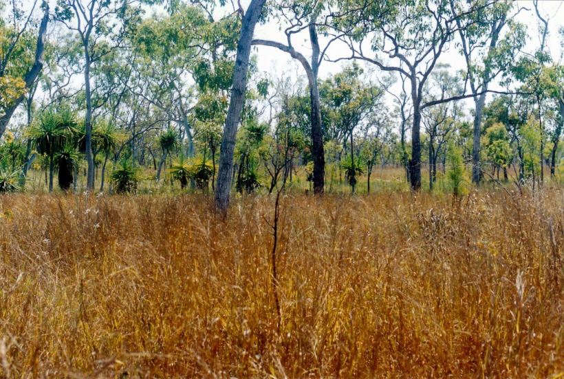 Resize of 09-19-2003 21 pan 4 springs rhs.jpg