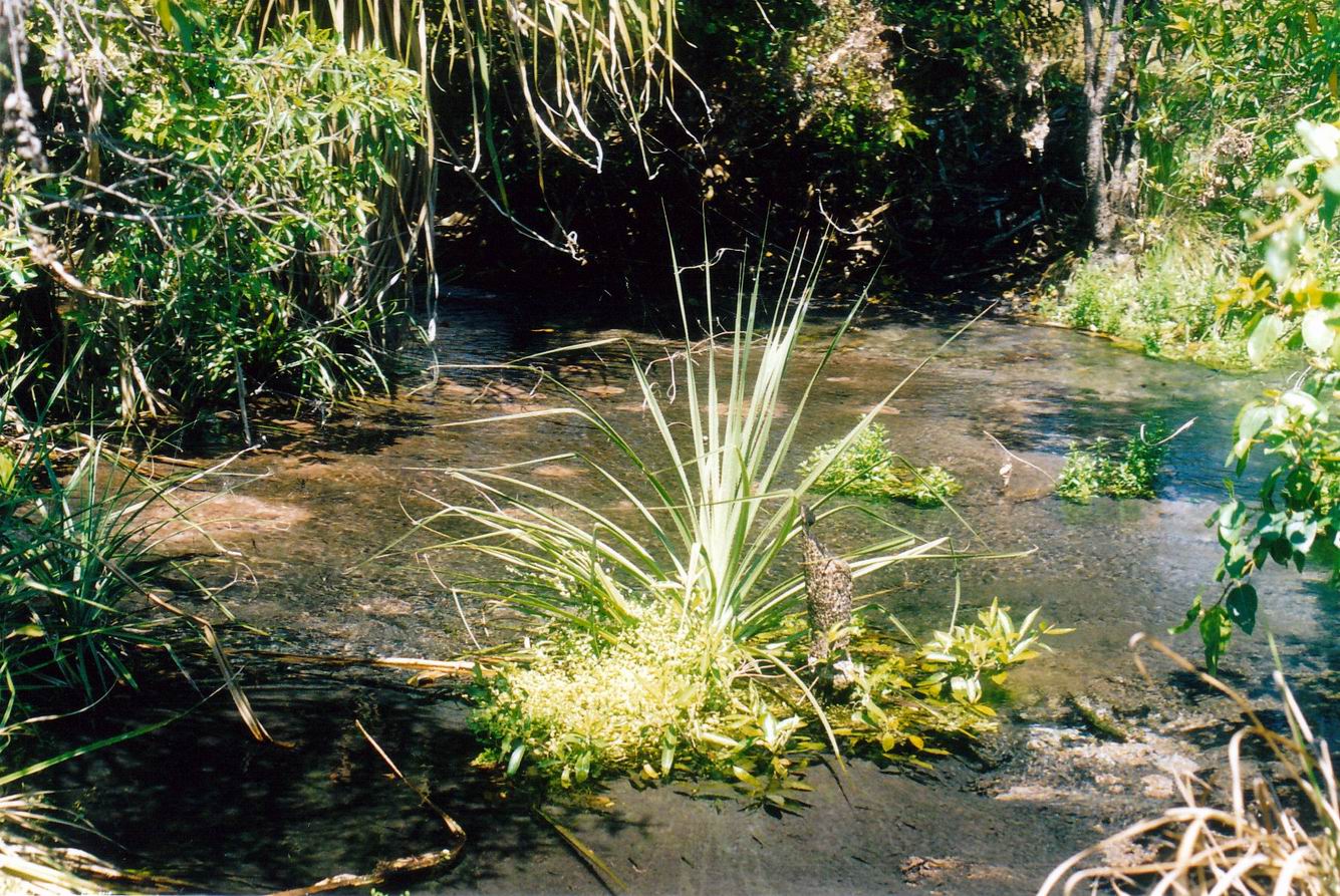 resize of 09-19-2003 spring near safari camp