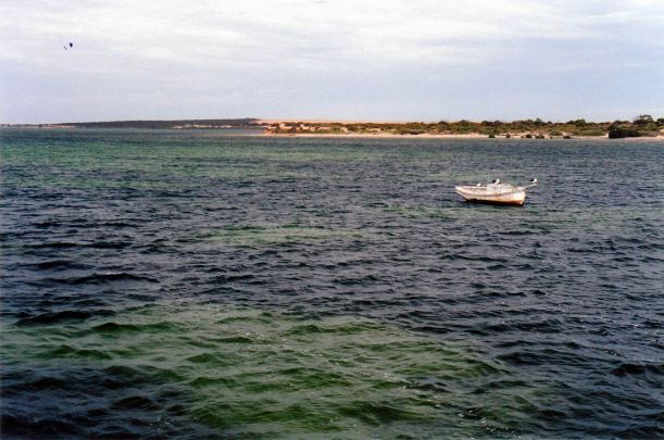 Resize of 04-14-2004 denial bay.jpg