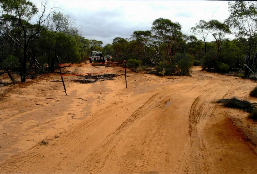 Resize of 04-16-2004 10 Googs track bypass due to nest