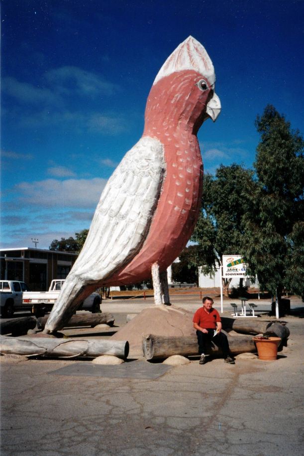 Resize of 04-01-2004 02 Kimba big bird.jpg