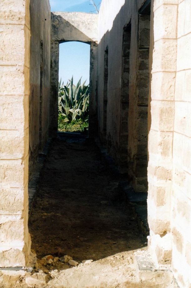 Resize of 05-06-2004 israelite