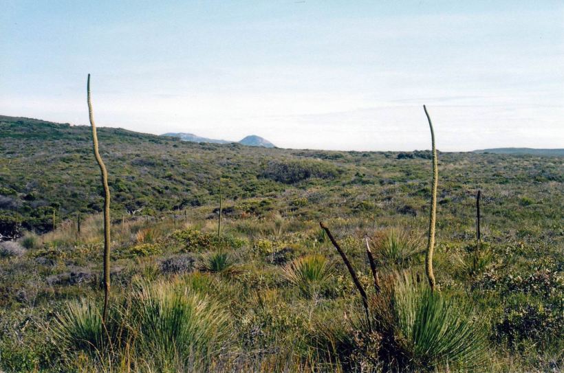 Resize of 05-07-2004 02 mt arid from seal ck carpark.jpg