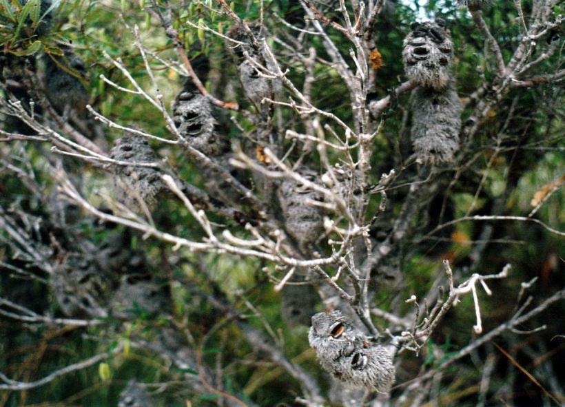 Resize of 05-07-2004 faces