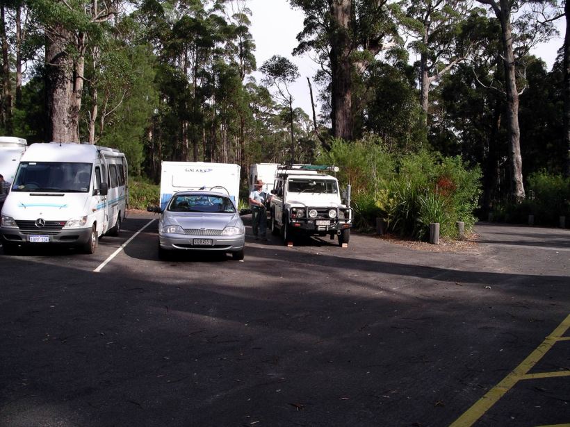 Resize of 05-20-2004 01 Flat tyre Tree Centre.JPG