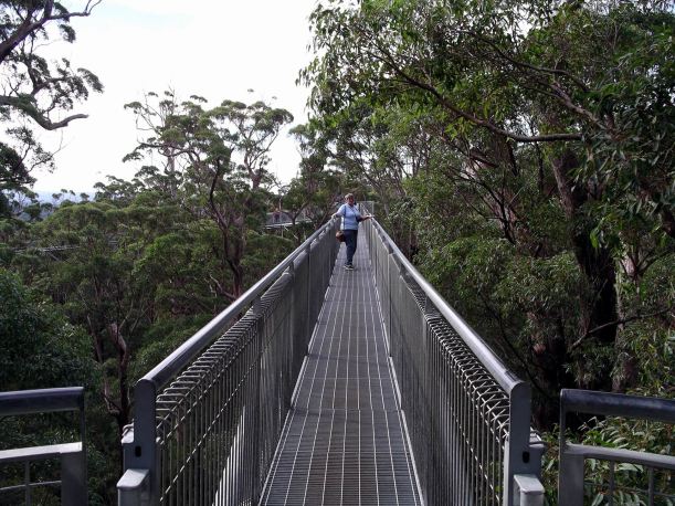 Resize of 05-20-2004 06 it sways