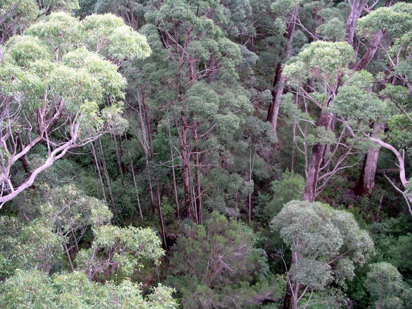 Resize of 05-20-2004 14 looking down