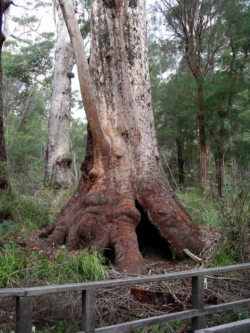 Resize of 05-20-2004 16 survivor johns pic