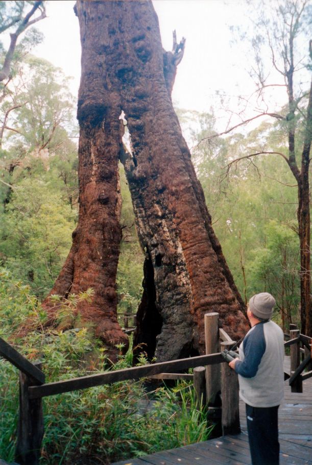 Resize of 05-22-2004 20 john and survivor