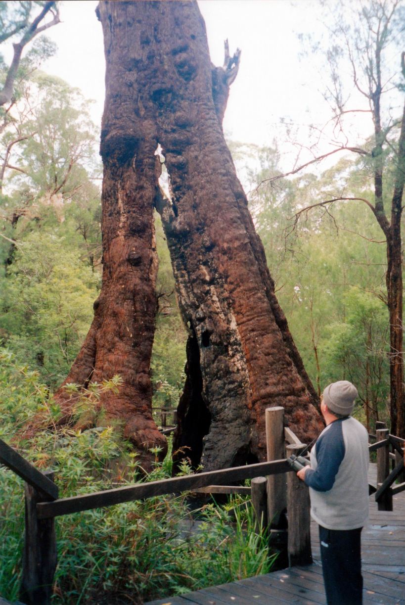 Resize of 05-22-2004 20 john and survivor