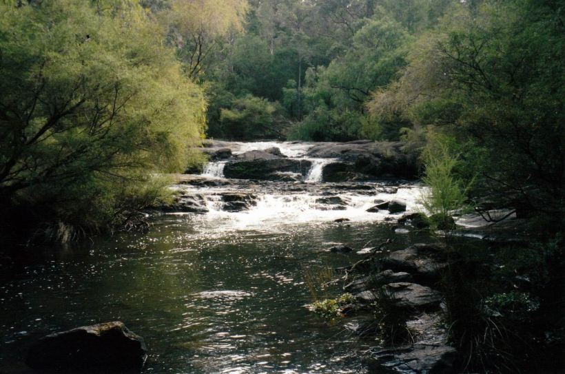 Resize of 05-24-2004 falls by train