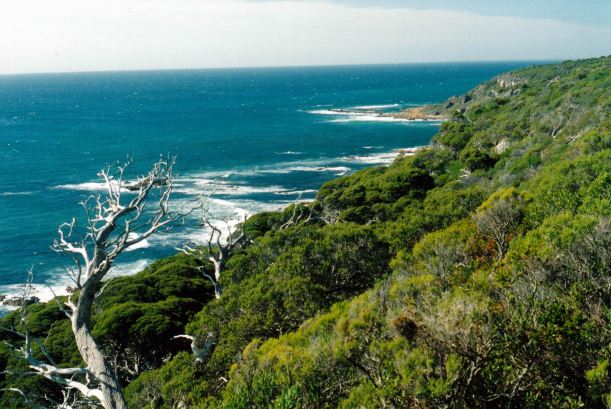 Resize of 05-31-2004 02 at Cape Naturaliste.jpg