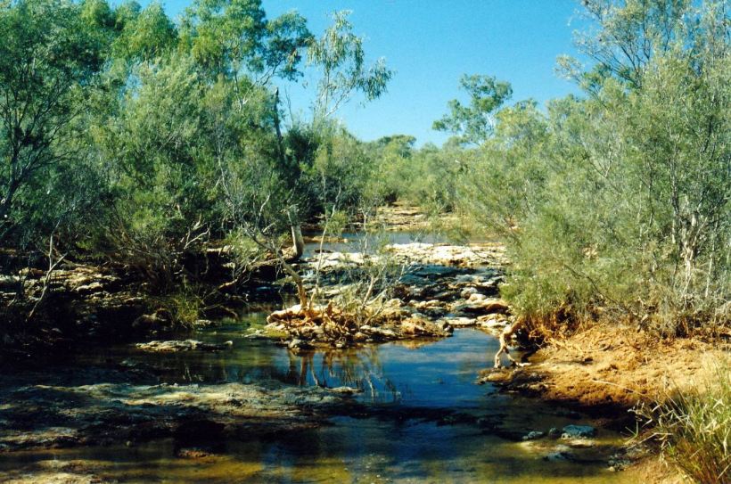 Resize of 06-25-2004 04 wooramel river.jpg
