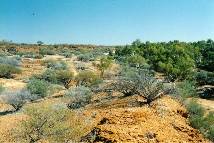 Resize of 06-25-2004 by tk north.jpg