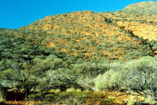 Resize of 06-26-2004 14 track goes up ridge.jpg