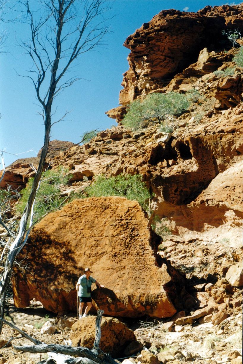 Resize of 06-30-2004 10 Kennedy Ra NP old seabed signs.jpg
