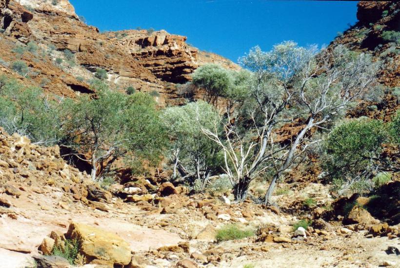 Resize of 06-30-2004 southern walk