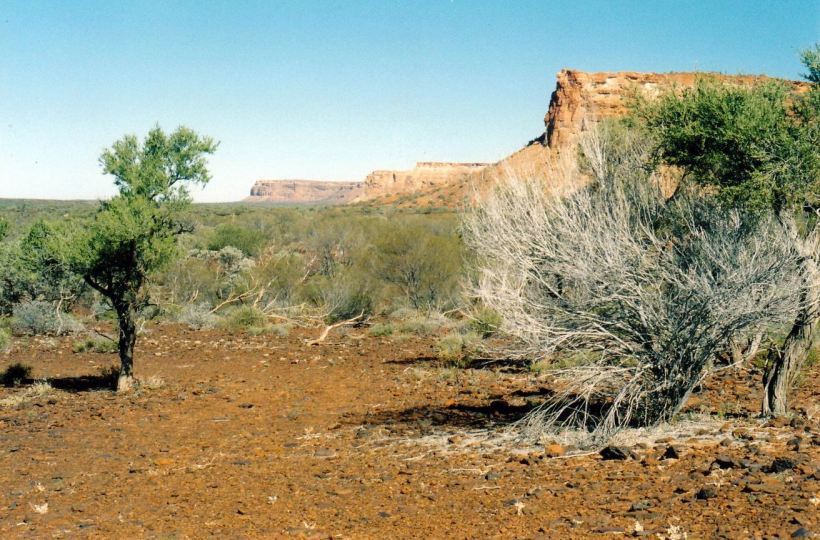 Resize of 06-30-2004 view sth along kennedy ranges.jpg