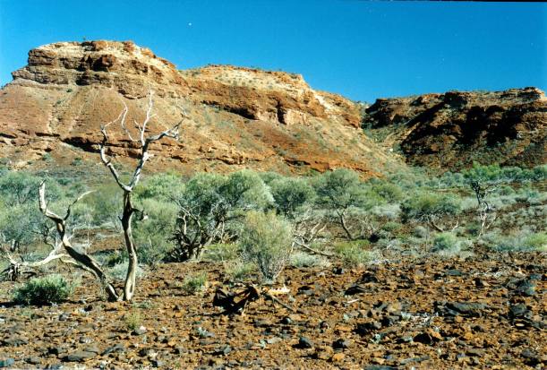 Resize of 07-01-2004 01 Kennedy Ranges spectacular.jpg