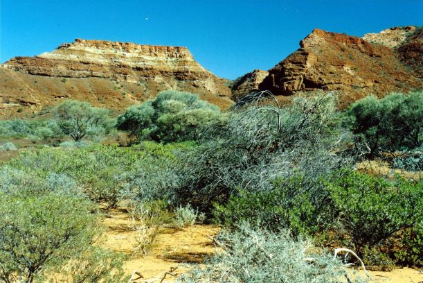 Resize of 07-01-2004 02 Kennedy Ranges valley.jpg