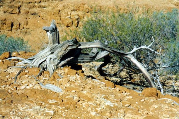 Resize of 07-02-2004 contrasts.jpg