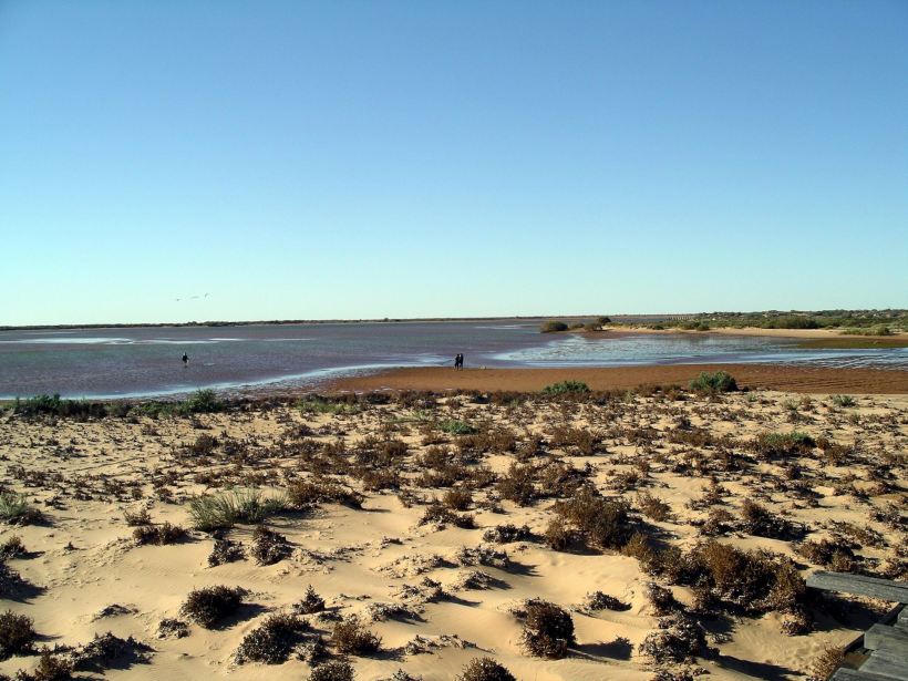 Resize of 07-04-2004 06 Carnarvon Gascoyne River mouth.JPG