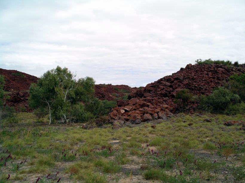 Resize of 07-10-2004 01 Dampier Pen flowers.JPG