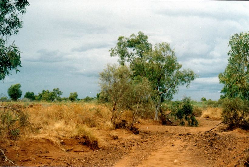 Resize of 07-11-2004 02 near Millstream is that rain coming.jpg