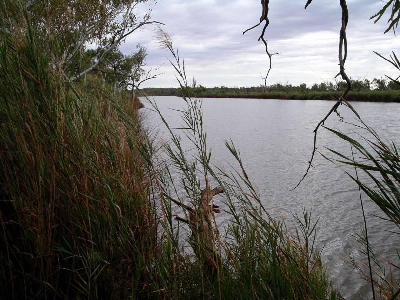 Resize of 07-12-2004 07 Millstream Deep Reach camp view
