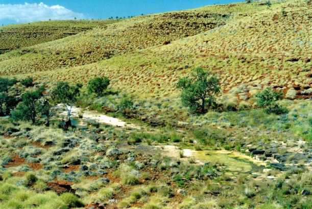 Resize of 07-13-2004 05 McKenzie Springs