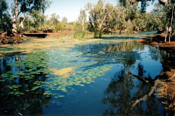 Resize of 07-14-2004 11 Chinderwarriner Ck at Millstream